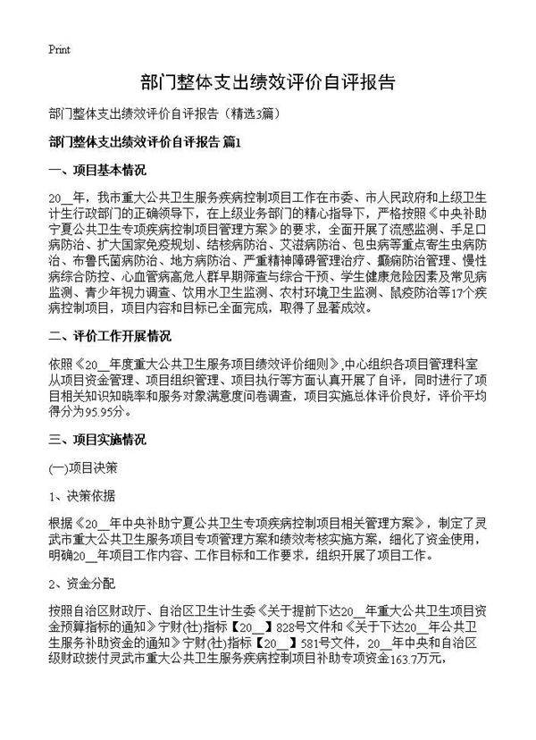 部门整体支出绩效评价自评报告3篇