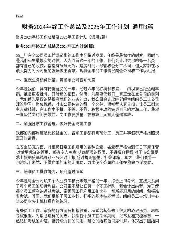 财务2024年终工作总结及2025年工作计划(通用3篇)3篇