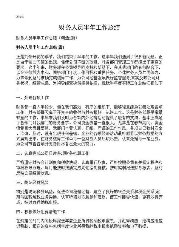 财务人员半年工作总结5篇