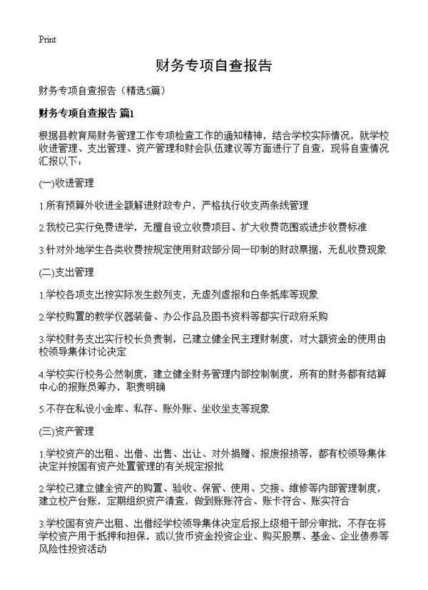 财务专项自查报告5篇