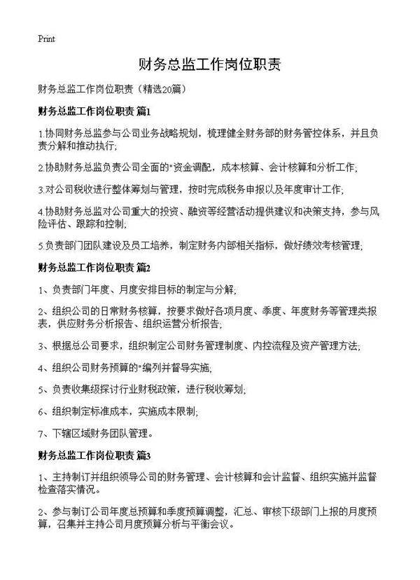 财务总监工作岗位职责20篇