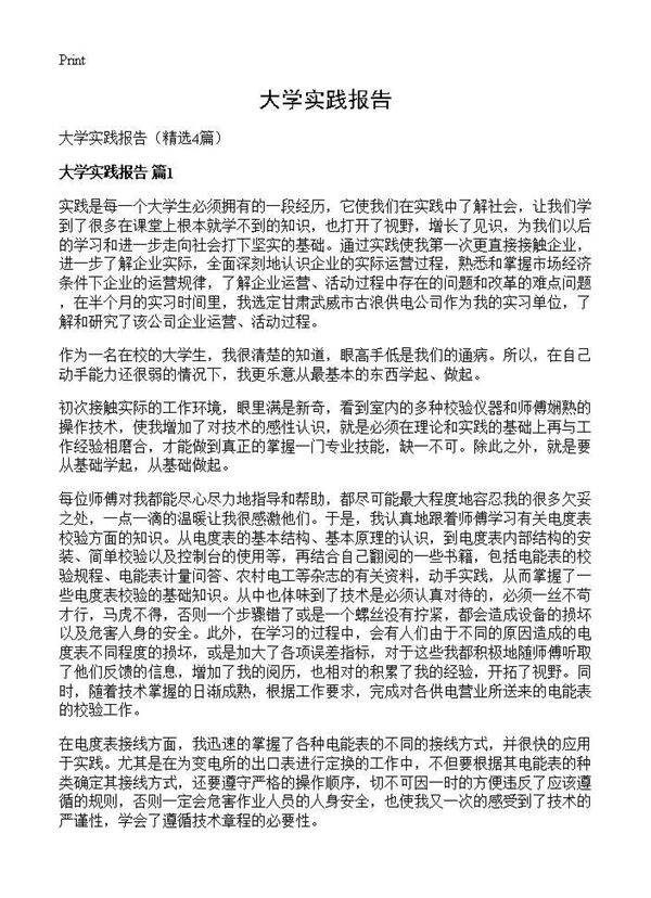 大学实践报告4篇