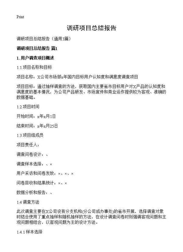 调研项目总结报告3篇