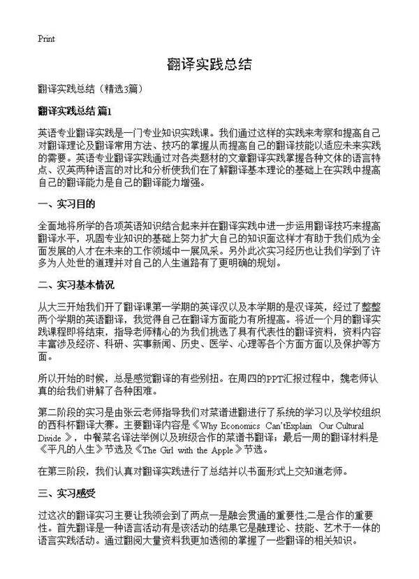 翻译实践总结3篇