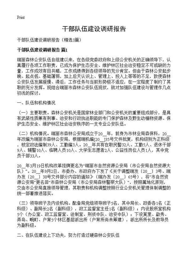 干部队伍建设调研报告3篇