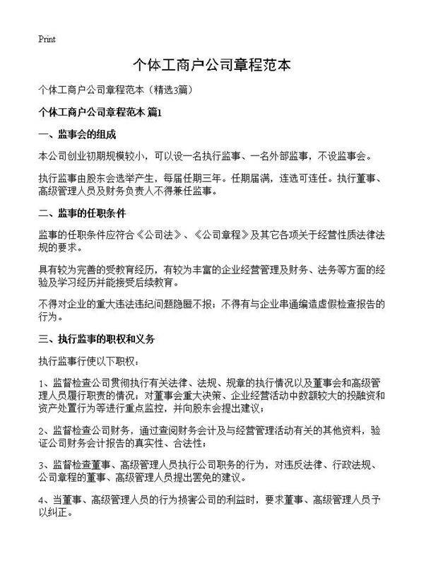个体工商户公司章程范本3篇