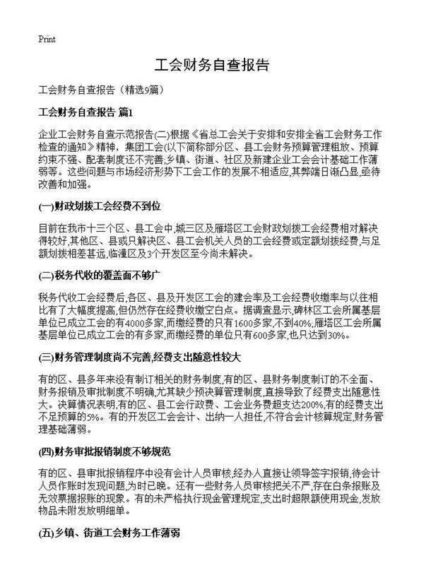 工会财务自查报告9篇