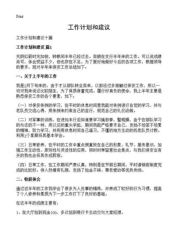 工作计划和建议