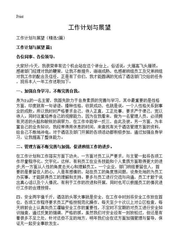 工作计划与展望5篇
