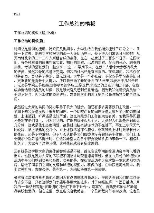 工作总结的模板5篇