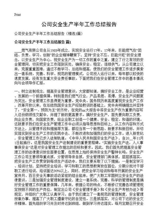 公司安全生产半年工作总结报告3篇