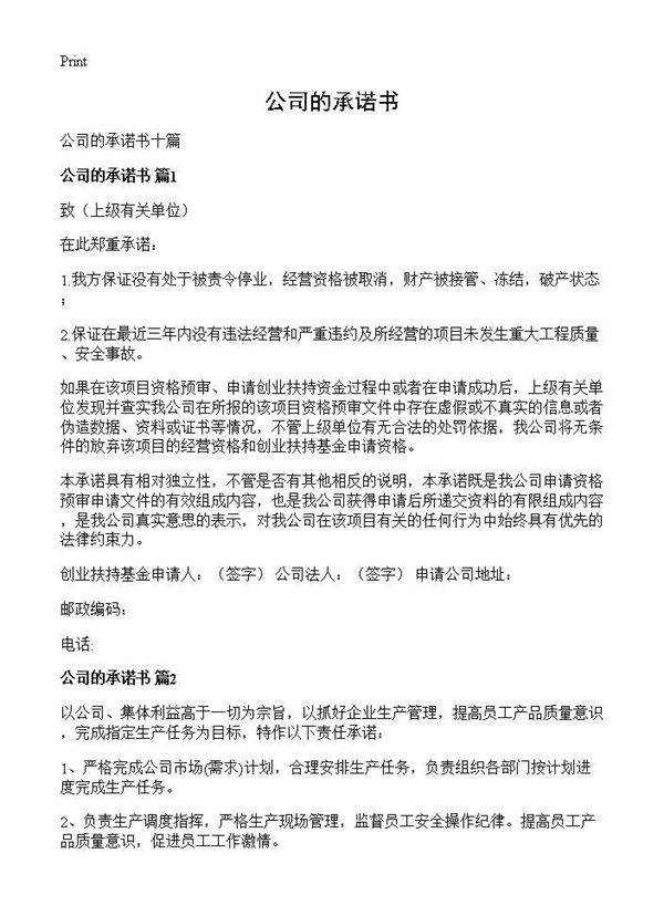 公司的承诺书