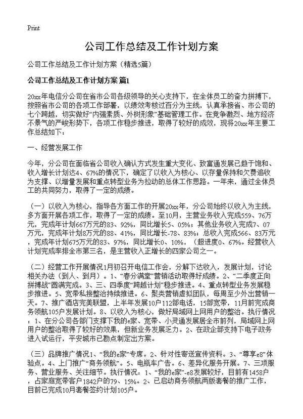 公司工作总结及工作计划方案5篇