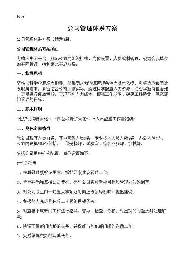 公司管理体系方案3篇