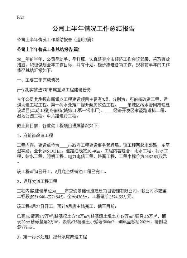 公司上半年情况工作总结报告3篇