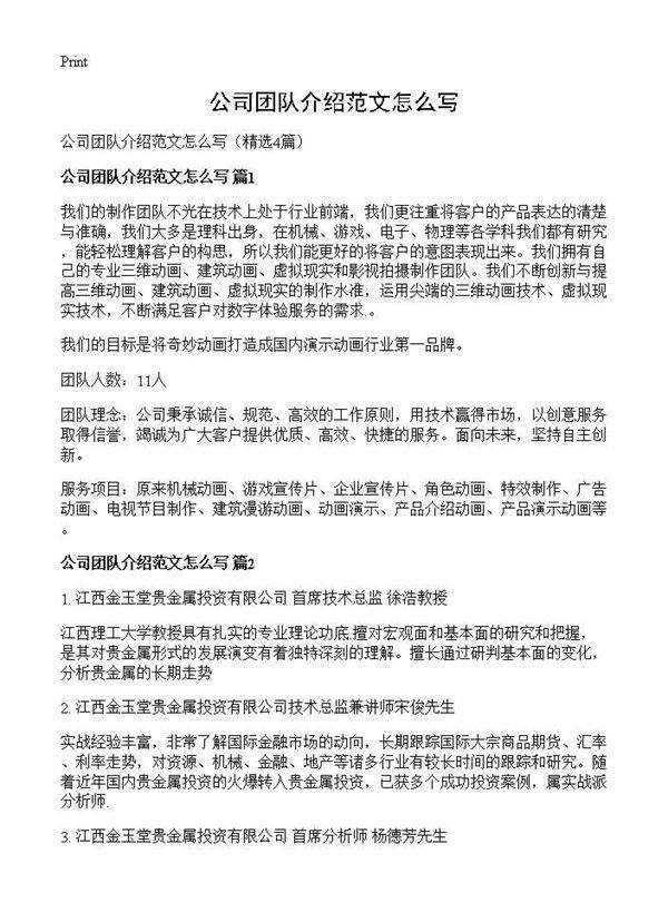 公司团队介绍范文怎么写4篇