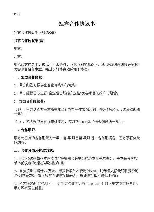 挂靠合作协议书5篇