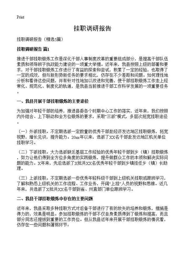 挂职调研报告5篇