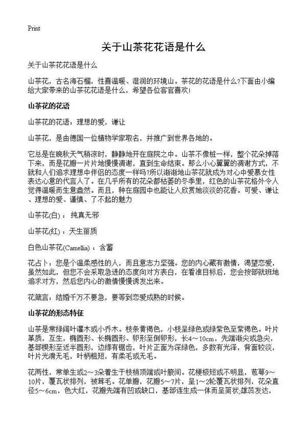 关于山茶花花语是什么