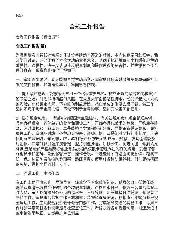 合规工作报告5篇