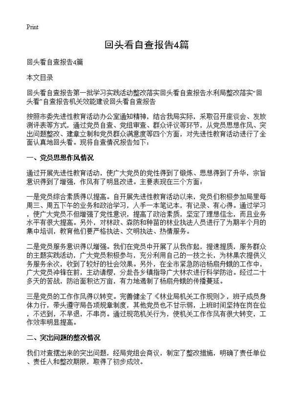 回头看自查报告4篇