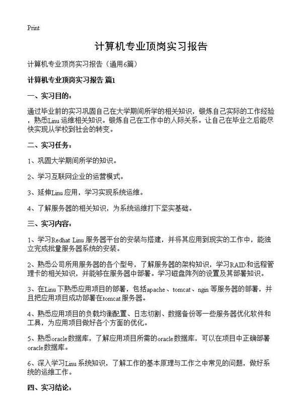 计算机专业顶岗实习报告6篇