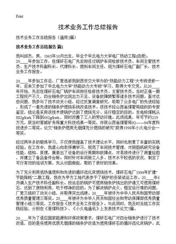 技术业务工作总结报告3篇