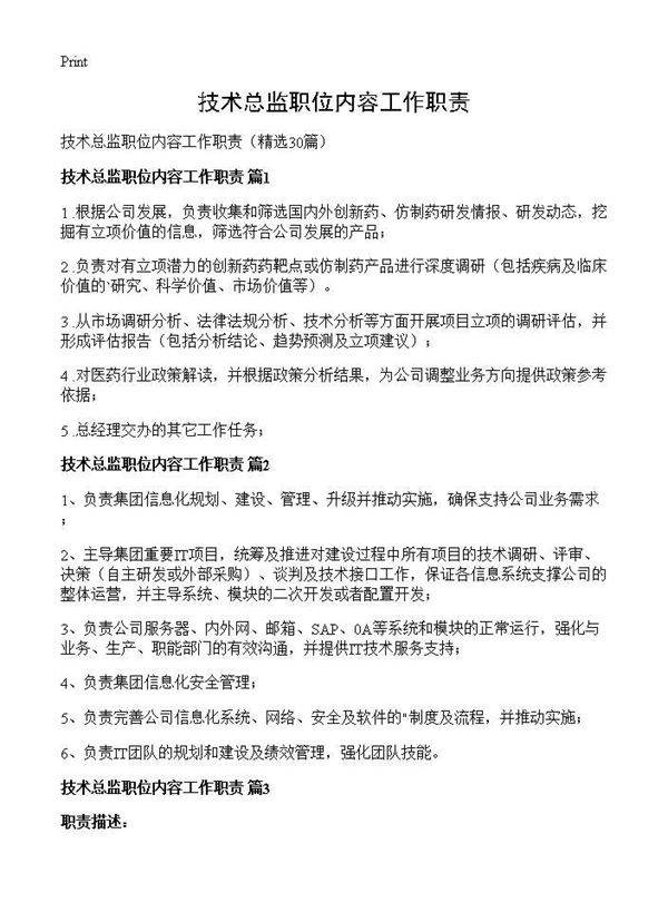 技术总监职位内容工作职责30篇