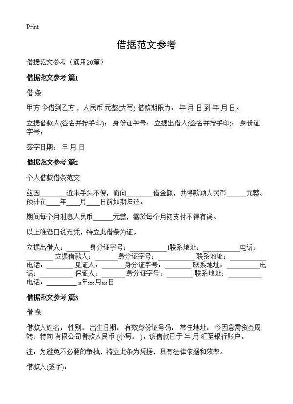 借据范文参考20篇