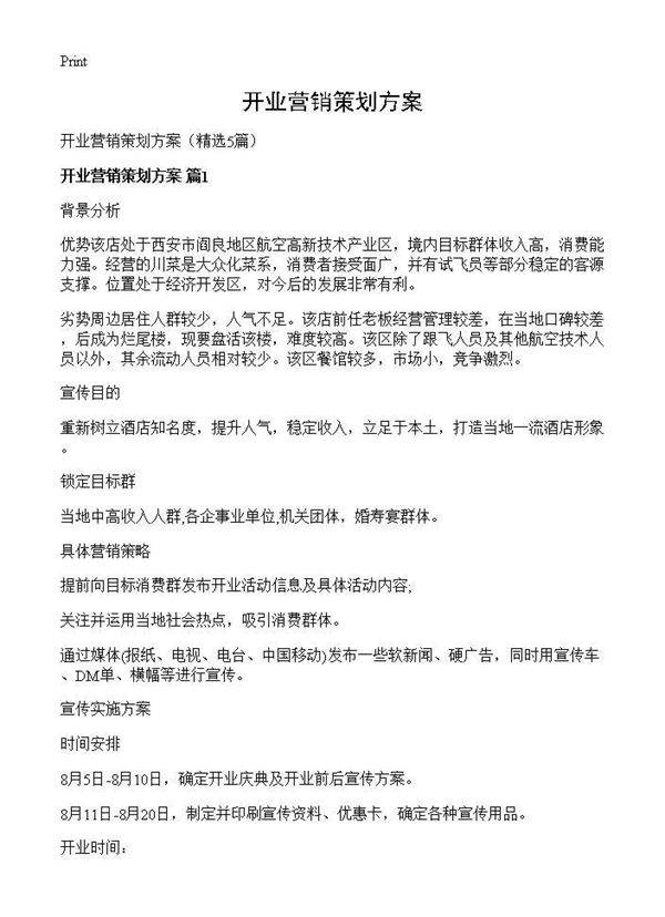 开业营销策划方案5篇