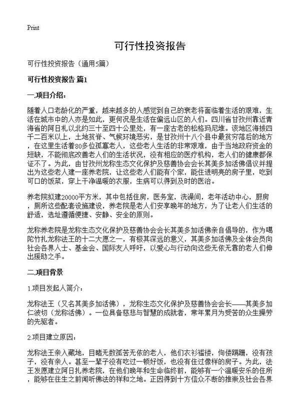 可行性投资报告5篇