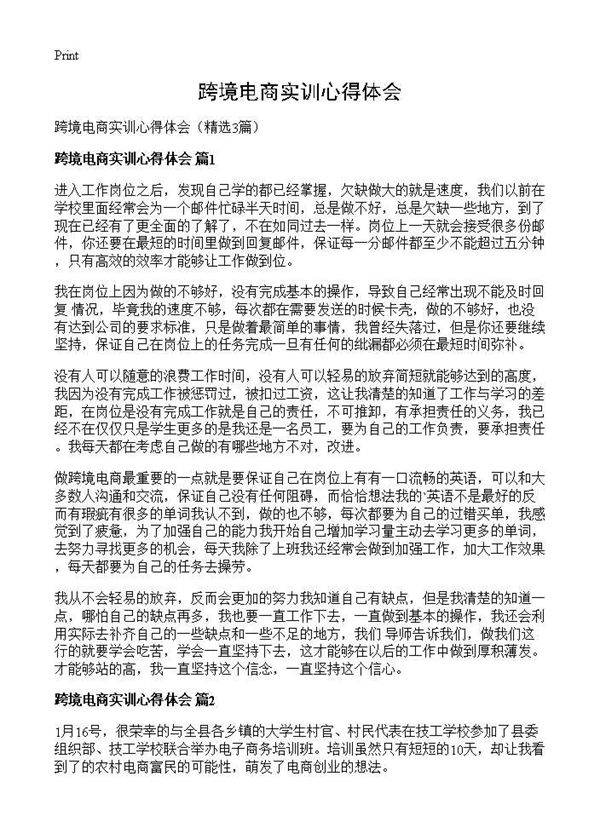 跨境电商实训心得体会3篇