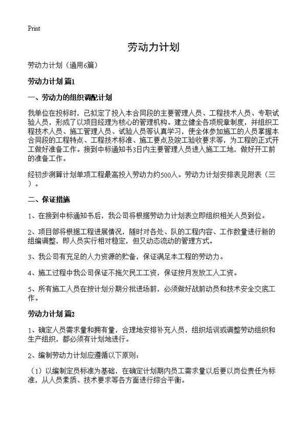 劳动力计划6篇