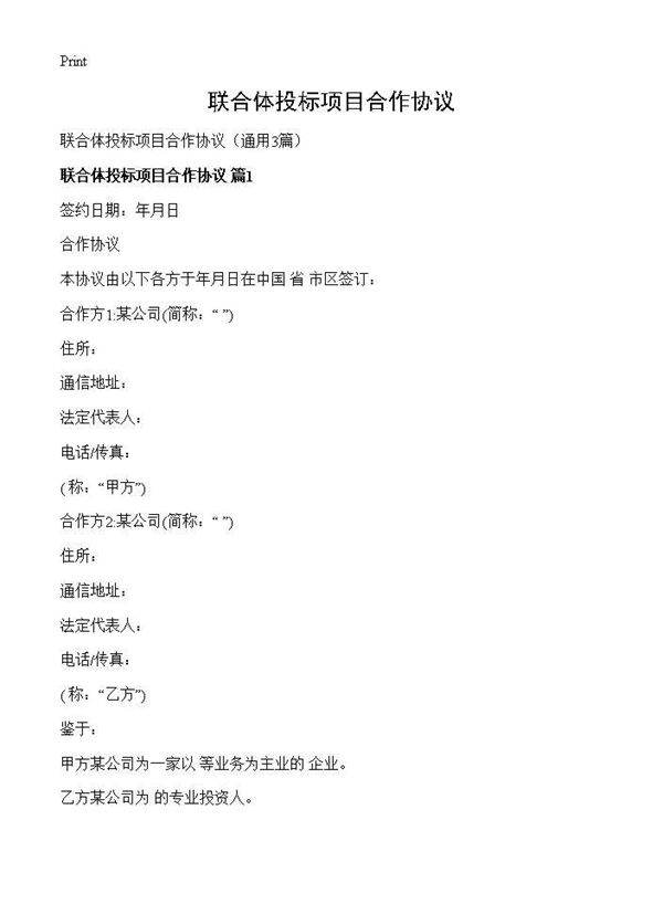 联合体投标项目合作协议3篇