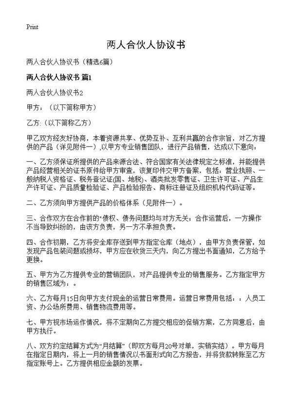 两人合伙人协议书6篇
