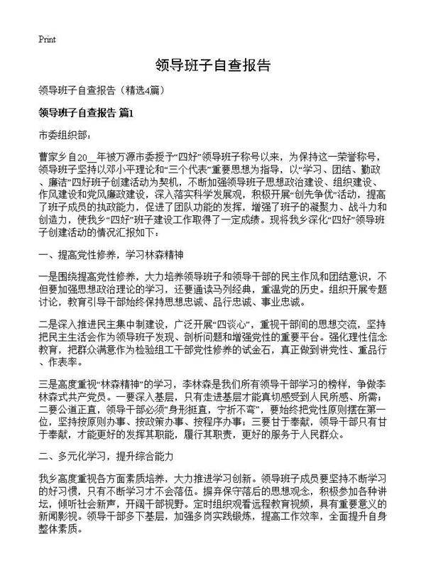 领导班子自查报告4篇