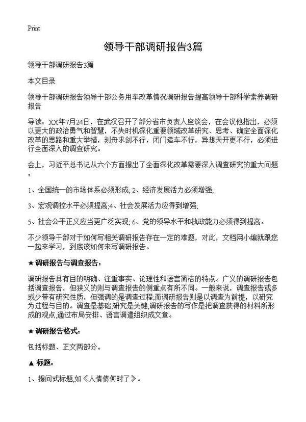 领导干部调研报告3篇