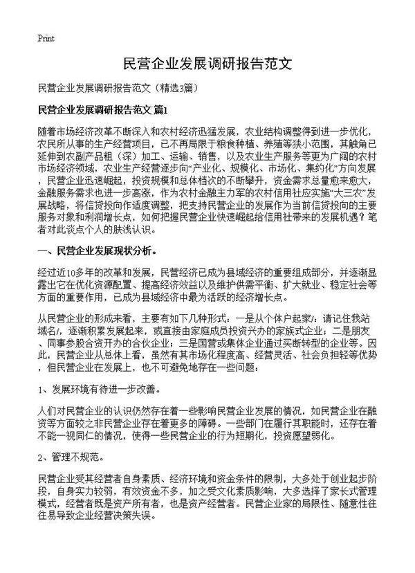 民营企业发展调研报告范文3篇
