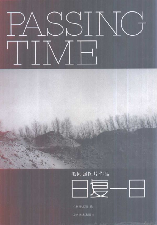 广东美术馆新状态丛书 毛同强图片作品 日复一日 广东省美术馆编 (2004版)