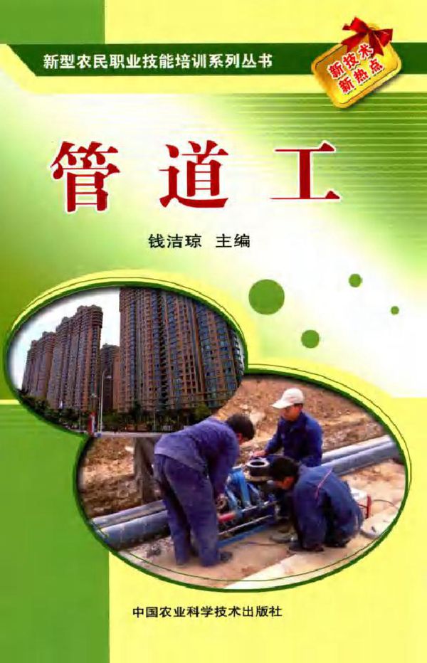 新型农民职业技能培训系列丛书 管道工 钱洁琼 (2011版)