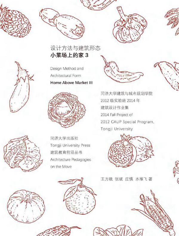 设计方法与建筑形态 小菜场上的家 3 王方戟,张斌,庄慎,水雁飞 著 (2017版)