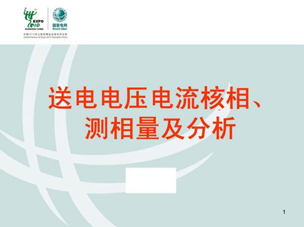 国网送电电压电流核相 测相量及分析