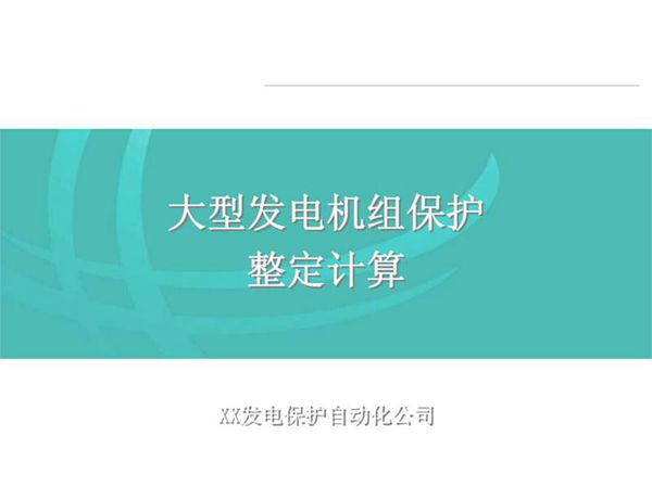 国家电网 大型发电机组保护整定计算