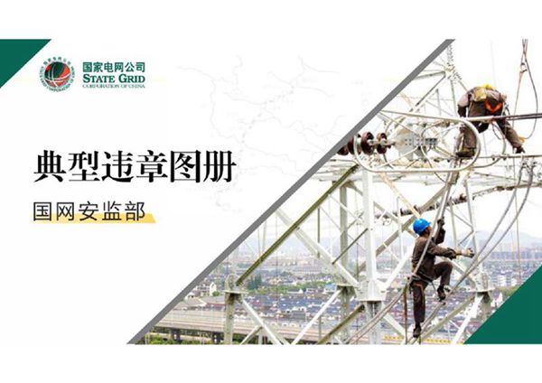 典型违章图册，培训资料国家电网施工安全监管.