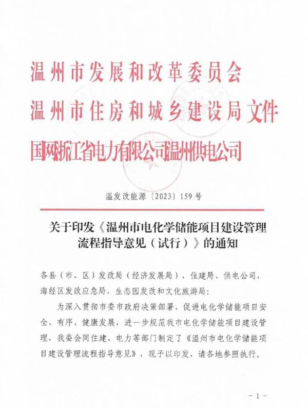 温州市电化学储能项目建设管理流程指导意见