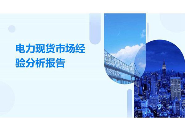 电力现货市场经验分析报告
