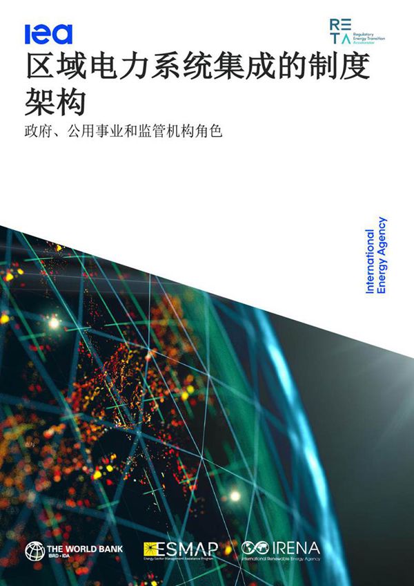 区域电力系统行业集成的制度架构(英文)(英译中)