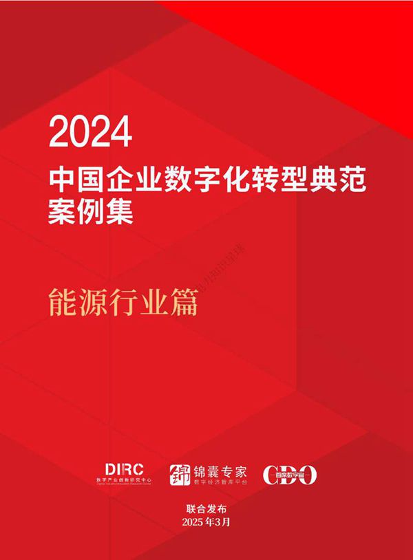 2024中国企业数字化转型典型案例集 能源行业篇
