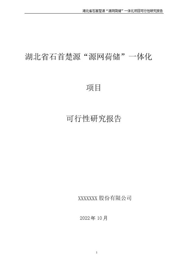 除源网荷储一体化项目可研报告