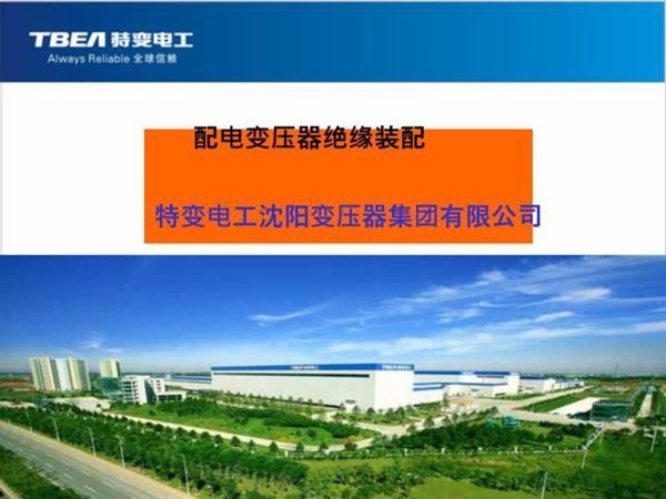 特变配电变压器绝缘装配